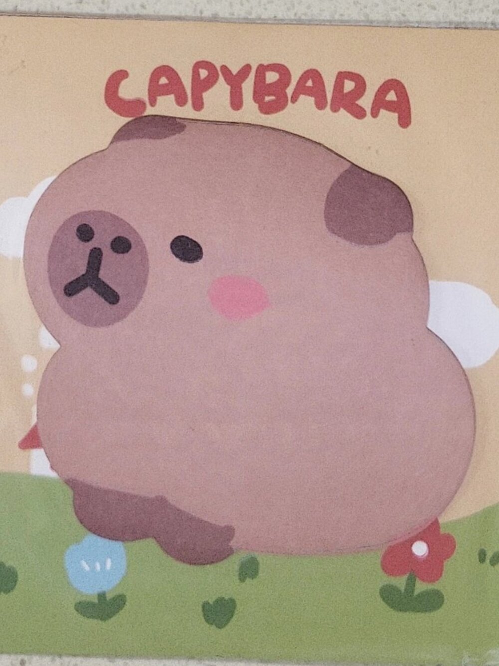 Serious Capybara mini sticky note memo pad set